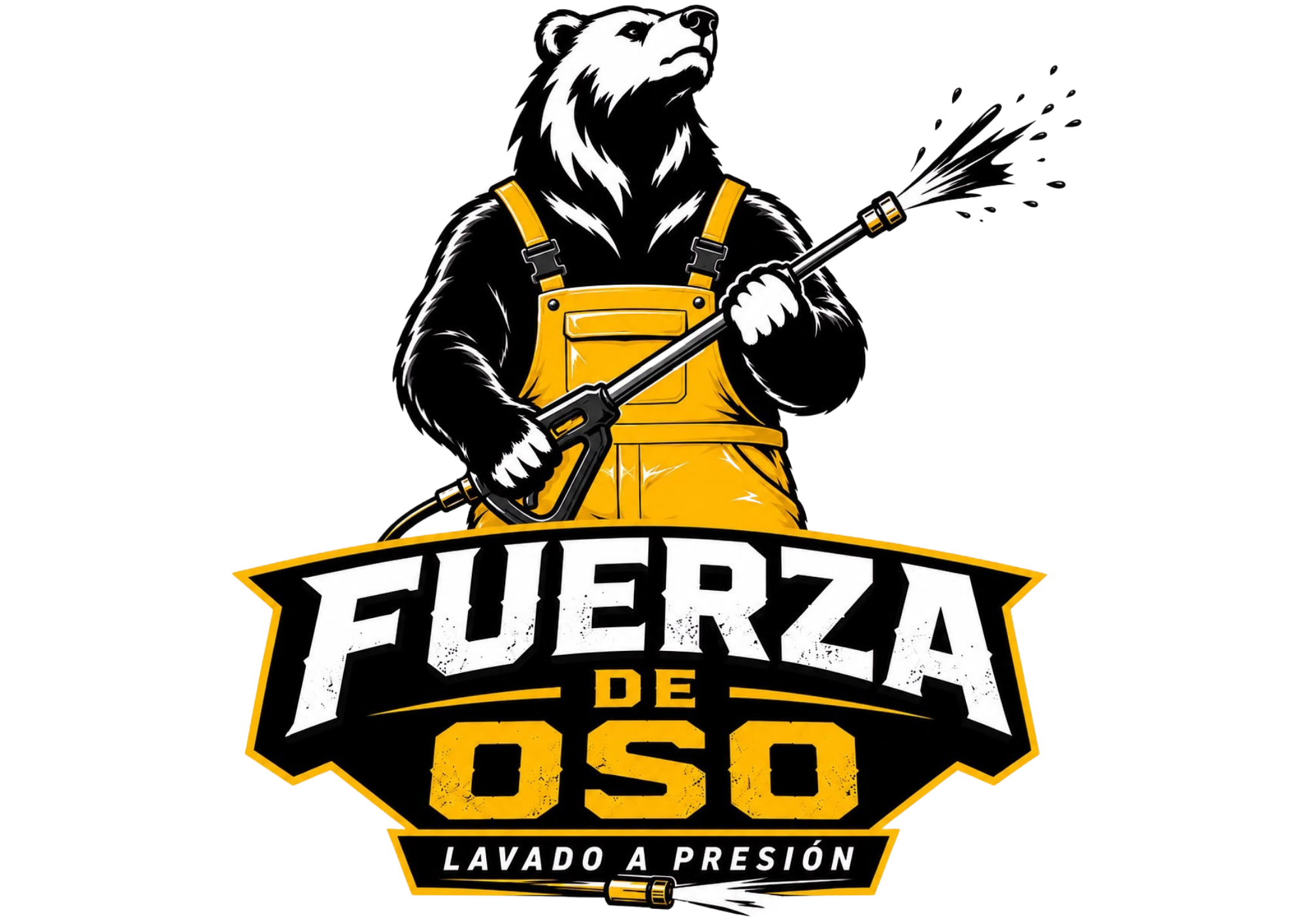 Fuerza de Oso Power Washing